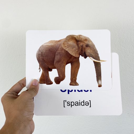 Bộ Thẻ học thông minh song ngữ khám phá thế giới xung quanh loại thẻ to 12x16cm ( SLL ib zalo)- 88274