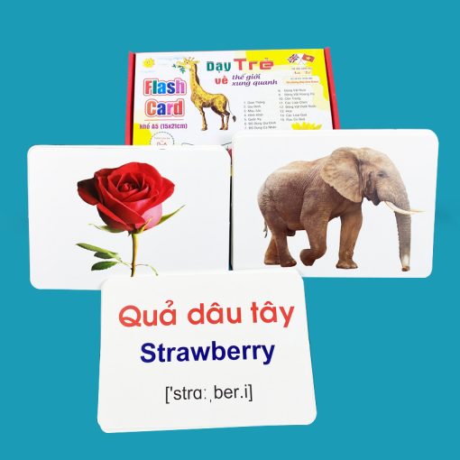 Bộ Thẻ học thông minh song ngữ khám phá thế giới xung quanh loại thẻ to 12x16cm ( SLL ib zalo)- 88274